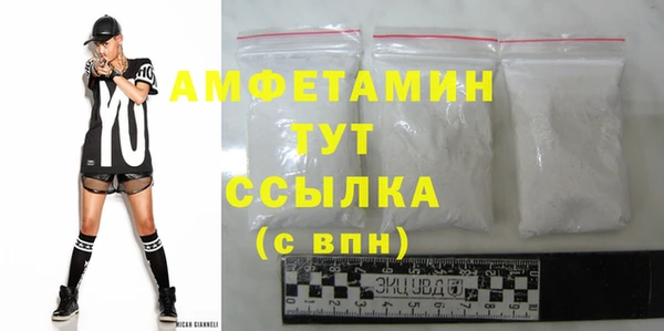 гидра Покачи