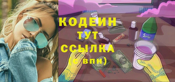гидра Покачи