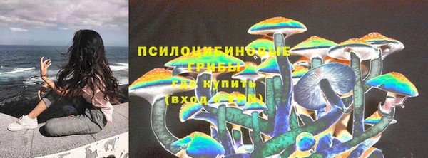 2c-b Армянск