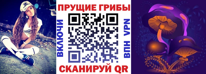 Галлюциногенные грибы Psilocybine cubensis  гидра как зайти  Зеленодольск 